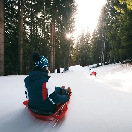 Confortable 2p+cabine, Skis Aux Pieds, Proche Commerces, 5/6 Pers - Fr-1-182a-32 شقة كورشوفيل